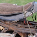 John T Overlander - the saddle